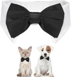 Honden- of kattenstrik met wit boord met zwart,rood of blauw, Verzenden, Nieuw