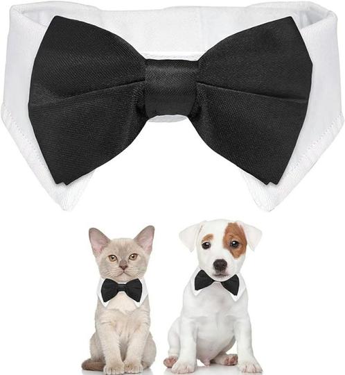 Honden- of kattenstrik met wit boord met zwart,rood of blauw, Dieren en Toebehoren, Katten-accessoires, Nieuw, Verzenden