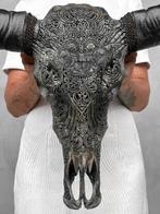 GEEN RESERVEPRIJS - C - Indrukwekkende Grote Grijze