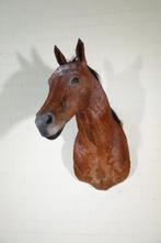 Horse shouldermount Schedel - Equus caballus - 95 cm - 100, Verzamelen, Dierenverzamelingen, Nieuw
