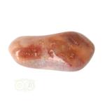 Fossiel Koraal trommelsteen Nr 23 - 38 gram, Verzenden, Nieuw