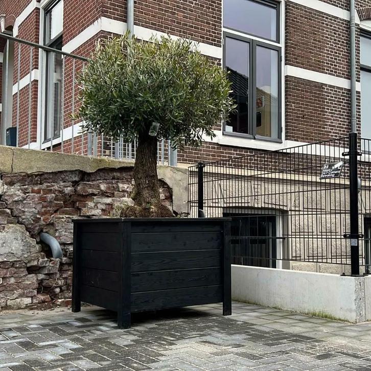 bloembak plantenbak op wielen olijfboom palmboom boombak vkt, Tuin en Terras, Bloembakken en Plantenbakken, 30 tot 60 cm, 60 tot 100 cm