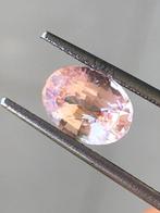 1 pcs Oranje, Roze Padparacha saffier - 2.10 ct -, Nieuw