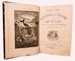 Verne - Ventimila Leghe Sotto Ai Mari - 1873, Antiek en Kunst, Antiek | Boeken en Bijbels