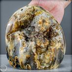 Fascinerende amberkleurige agatdruse met chalcedoon, Verzamelen