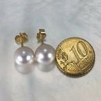 Oorbellen - 18 karaat Geel goud Parel - Southsea RD Ø, Sieraden, Tassen en Uiterlijk, Oorbellen, Nieuw