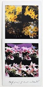 Maurizio Galimberti (1956–) - BiFlowers - 11209