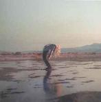 lp nieuw - Phoebe Bridgers - amp; Rob Moose, Cd's en Dvd's, Vinyl | Pop, Verzenden, Zo goed als nieuw