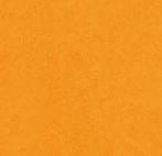 Forbo Marmoleum Fresco 3262 marigold, Verzenden, Nieuw