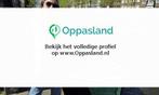 Ik ben Elisabeth, 47 jaar oud en ik zoek oppaswerk in Zaa...