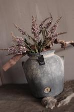 Brynxz Lelietje van dalen purple 50 cm, Ophalen of Verzenden, Nieuw