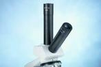 Nieuwe EUROMEX Microscopen met extra verticale fototubes, Nieuw, 400x tot 1000x, Biologische microscoop