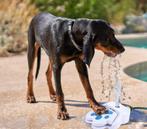 maxxpro Waterfontein met pedaal (HONDEN, DIEREN) (DIEREN)