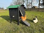 Kunststof Kippenhok - Nestera Small Op Pootjes - Afhalen, Dieren en Toebehoren, Pluimvee | Toebehoren, Ophalen of Verzenden, Nieuw