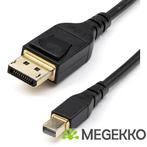 StarTech.com DP14MDPMM2MB DisplayPort kabel 2 m Mini, Verzenden, Nieuw