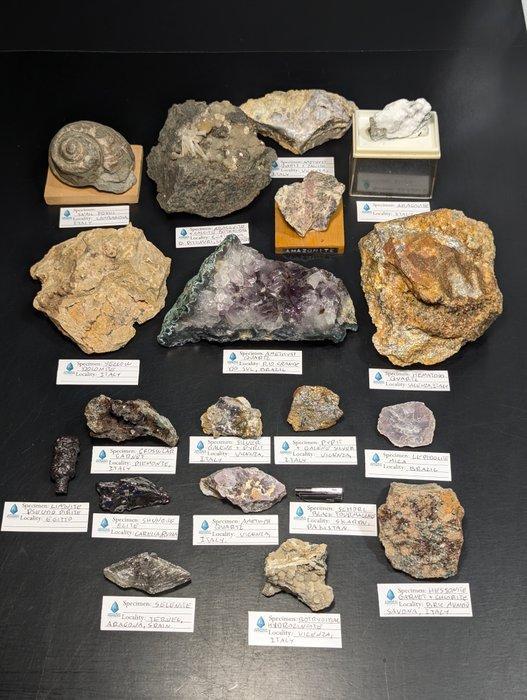 2.630 kg - Mineralenverzameling – Amethist, Granaat,, Verzamelen, Mineralen en Fossielen