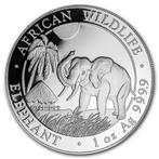Somalische Olifant 1 oz 2017, Zilver, Losse munt, Overige landen, Verzenden