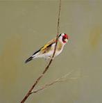 Matthieu van Riel - Distelvink