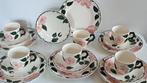 Villeroy & Boch - Koffie- en theeservies (18) - Wild-Rose -