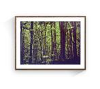Jaime Oriz - Into the forest, Antiek en Kunst