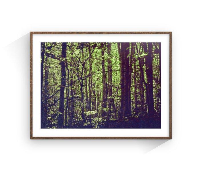 Jaime Oriz - Into the forest, Antiek en Kunst, Kunst | Designobjecten