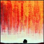 Aleix Albareda - Dwelling Under This Sky - XL