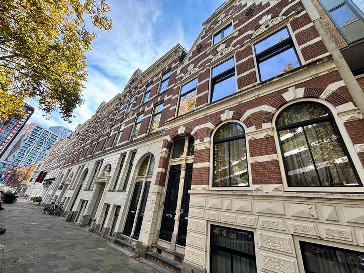 Te huur: Studio Diergaardesingel in Rotterdam, Huizen en Kamers, Huizen te huur, Zuid-Holland