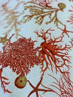 Allegro stof in mediterrane stijl met motief van zeecorallen