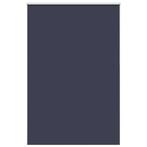 vidaXL Rolgordijn verduisterend 155x210 cm stofbreedte 151,6, Huis en Inrichting, Stoffering | Gordijnen en Lamellen, Verzenden