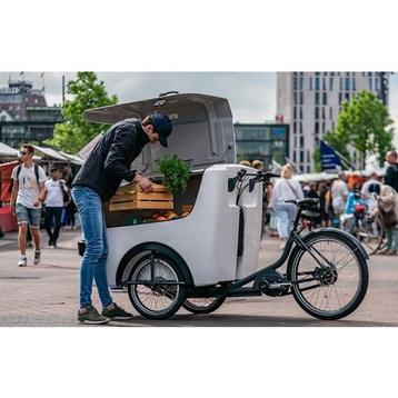 Trike XL - Electrische transport bakfiets voor goederen