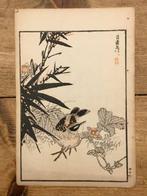 Vogel tussen de planten op de grond - Kono Bairei