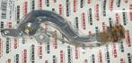 Gunner Rempedaal + Brake Saver zilver Suzuki RM-Z 450 08-23, Motoren, Ophalen of Verzenden, Nieuw