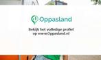 Ik ben mirthe, 18 jaar oud en ik zoek oppaswerk in Zwolle., Diensten en Vakmensen, Dieren | Overige | Verzorging, Oppas en Les