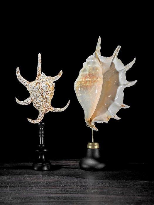 Tafelmiddenstuk (2) - Geen minimumprijs - Prachtig paar, Antiek en Kunst, Kunst | Designobjecten