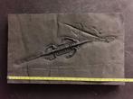 Groot Keichousaurus fossiel skelet, zeer driedimensionaal -