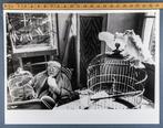 Henri Cartier-Bresson - Matisse