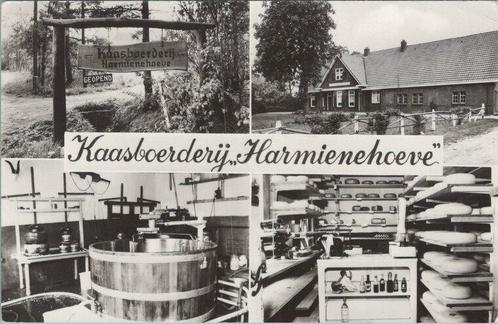 WOOLD - Kaasboerderij Harmienehoeve, Verzamelen, Ansichtkaarten | Nederland, Verzenden