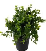 Kunstplantje ‘Pumila’ In Pot | 20cm, Huis en Inrichting, Ophalen, Nieuw
