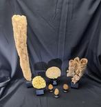 . - Diorama 7 Extensive real sea sponge Collection on, Nieuw
