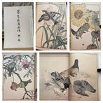 Imao Keinen -  : 38 plates of Keinen Kachou Gafu, Antiek en Kunst