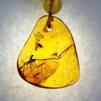 Barnsteen - Necklace insect in amber