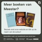 Descartes dochter 9789085710479 Meester, Boeken, Verzenden, Zo goed als nieuw, Meester