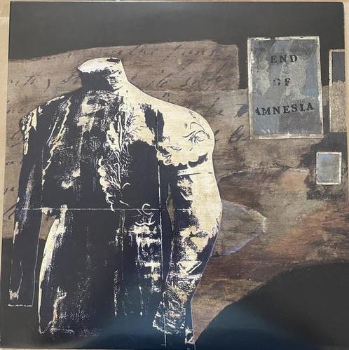 lp nieuw - M. Ward - End of Amnesia, Cd's en Dvd's, Vinyl | Overige Vinyl, Zo goed als nieuw, Verzenden