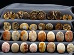 Koralen en ammonieten Koraal - Corallium & Ammonoidea, Verzamelen, Mineralen en Fossielen