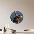 Emerald Climber - Muurcirkel - ø 40 cm +Ophangset, Verzenden, Nieuw, Print