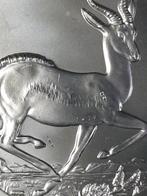 Zuid-Afrika. 1 Rand 2021 Krugerrand, 1 Oz (.999) Silver