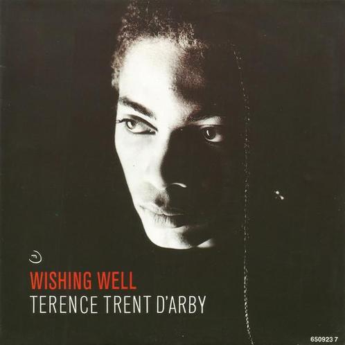 Single - Terence Trent D&apos;Arby - Wishing Well, Cd's en Dvd's, Vinyl | Pop, Verzenden