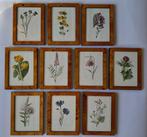 Rev. F. Edward Hulme - A set of ten mounted and framed