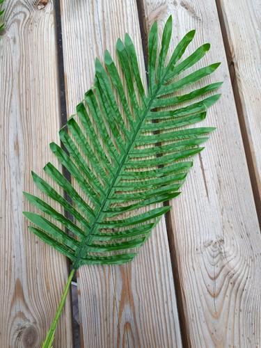 Varen Kunstblad Lichtgroen Botanical Style 63×23 cm per stuk, Hobby en Vrije tijd, Knutselen, Nieuw, Ophalen of Verzenden