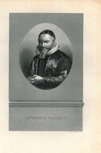 Portrait of Antonius Walaeus, Antiek en Kunst, Kunst | Etsen en Gravures